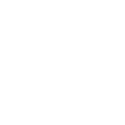 fg logo